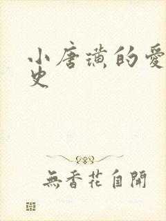 小唐璜的爱情历史