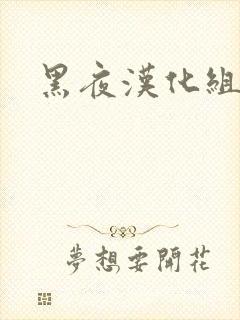黑夜汉化组