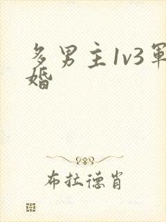 多男主1v3军婚
