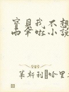 宝贝我不想带小雨伞啦小说封面