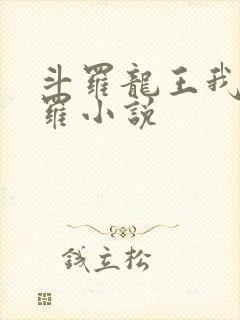 斗罗龙王我为阎罗小说