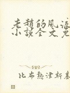 老赵的风流人生小说全文免费阅读封面