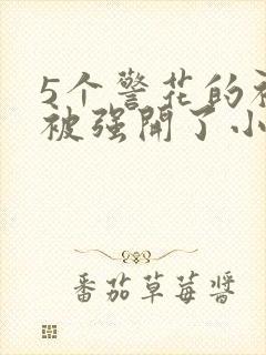 5个警花的初苞被强开了小说封面