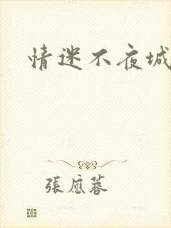 情迷不夜城