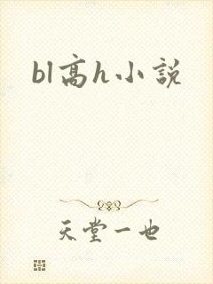 bl高h小说
