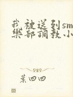 我被送到sm俱乐部调教小说