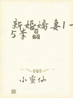 新婚娇妻1一25李晶