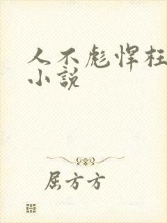 人不彪悍枉少年小说