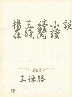 杨玉婷小说全文在线阅读