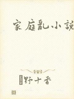 家庭乱小说