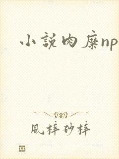 小说肉糜np