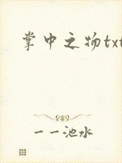 掌中之物txt封面