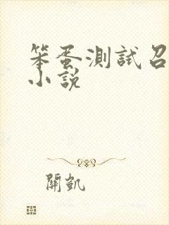 笨蛋测试召唤兽小说封面