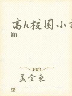 高h校园小说sm