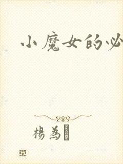 小魔女的必杀技封面