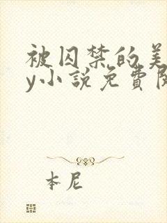 被囚禁的美人by小说免费阅读