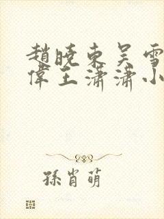 赵晓东吴雪晴郑伟王潇潇小说名字封面