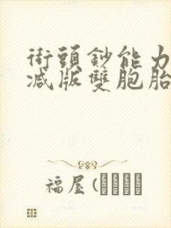 街头钞能力无删减版双胞胎封面