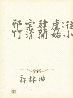 邪宗肆虐:从朱竹清开始小说封面