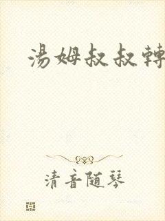 汤姆叔叔转接口