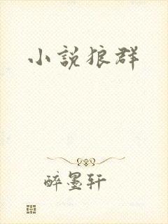小说狼群