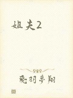 姐夫2