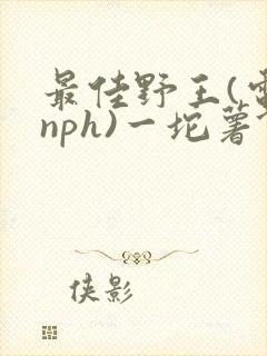 最佳野王(电竞nph)一坨薯饼