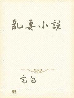 乱妻小说