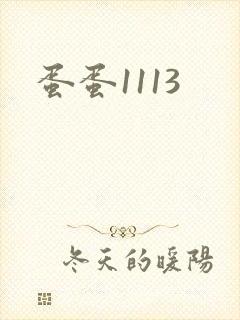 蛋蛋1113