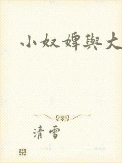 小奴婢与大少爷