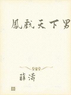 凤戏天下男