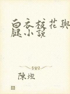 白衣校花与大长腿小说