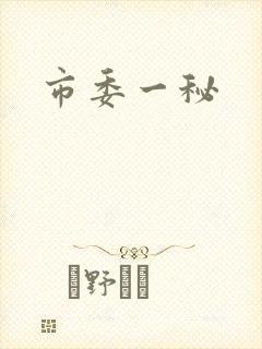 市委一秘封面