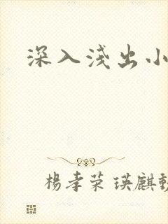 深入浅出小说