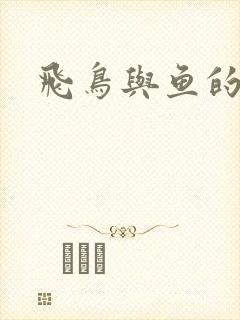 飞鸟与鱼的故事封面