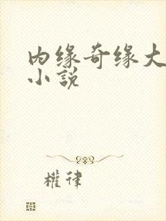 内缘奇缘大团圆小说