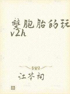 双胞胎的玩具1v2h