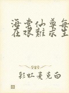 海棠仙尊每天都在艰难求生