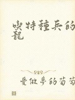 吃特种兵的大黑龙