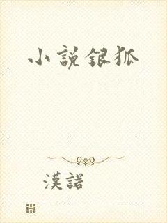 小说银狐