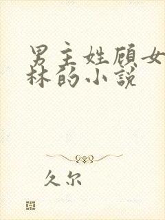 男主姓顾女主姓林的小说封面
