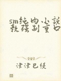 sm纯肉小说调教强制重口