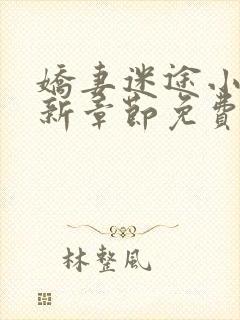 娇妻迷途小说最新章节免费阅读封面