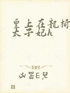 皇上在龙椅上c太子妃h封面