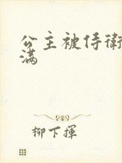 公主被侍卫填的满封面