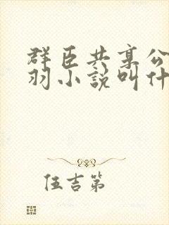 群臣共享公主银羽小说叫什么