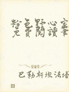 粉色野心家全文免费阅读笔趣阁封面