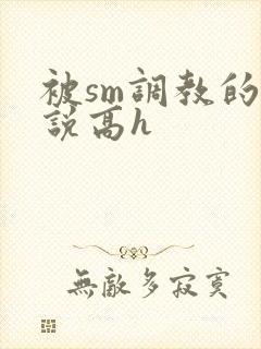 被sm调教的小说高h