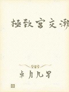极致宫交潮喷h