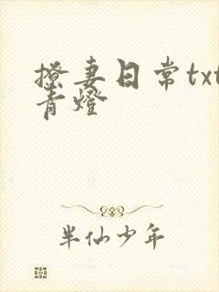 撩妻日常txt青灯封面